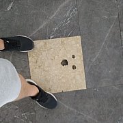 Zekoriii - mann, 29 Jahre, Płock