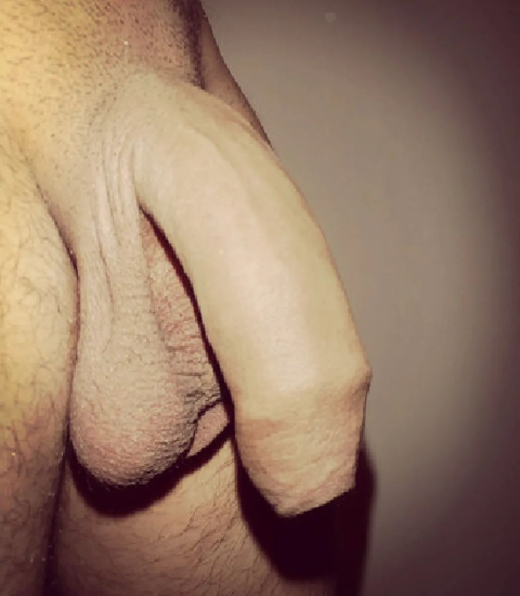 Photo in gallery