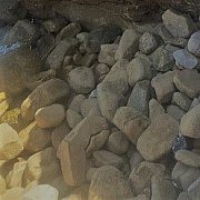 Cwl2000 - mann, 25 Jahre, Poznań