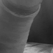 Wolon - man, 34 years, Rybnik