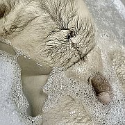 Batonix - чоловік, 39 років, Birmingham