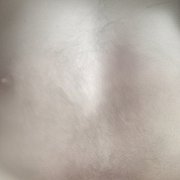 Serh12 - mann, 45 Jahre, Бердичів