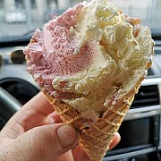 Bos12 - mężczyzna, 50 lat, Bielsko-Biała