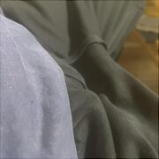 SpragnionyNamietnosci