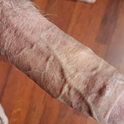 Gerry40 - mężczyzna, 48 lat, Kraków