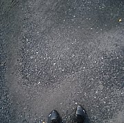 SchuVaX - muž, 30 let, Venlo