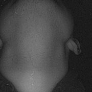 Antowenzy - mężczyzna, 27 lat, Szczecin