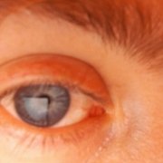 FG86 - mann, 39 Jahre, Gorzów Wielkopolski