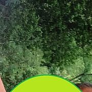 RodR - mężczyzna, 45 lat, Środa Wielkopolska