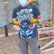 Tom2381 - mężczyzna, 51 lat, Amsterdam