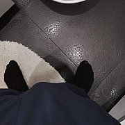 Miszaaaa - mężczyzna, 39 lat, Mysłowice