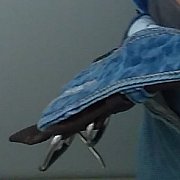 Tatkooo - man, 34 years, Kołobrzeg