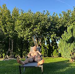 Photo in gallery