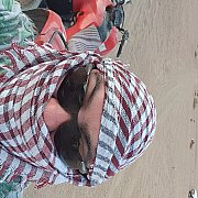 Oralny84 - m臋偶czyzna, 41 lat, Szczecin
