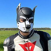 Bajker84 - muž, 41 let, Szczecin