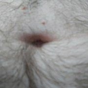 Krzysiek2607 - чоловік, 50 років, Siedlce