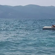 MilyPan101