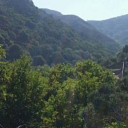 Pab123456 - man, 27 years, Wałbrzych