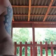 Skydancer40