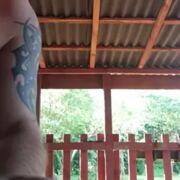 Skydancer40
