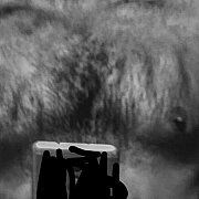 Jagermaister84 - man, 41 years, Gdańsk