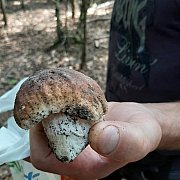 Albino128 - mężczyzna, 38 lat, Środa Śląska