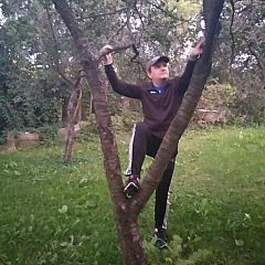 Photo in gallery