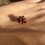 Nicz119 - чоловік, 27 років, Zwierzyniec