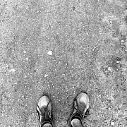 Norebb