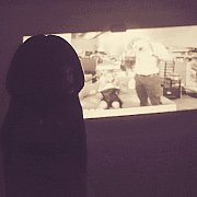 Marzec85666 - man, 40 years, Halifax