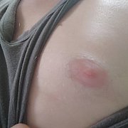 Herman80 - mężczyzna, 45 lat, Tomaszów Lubelski