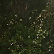 Rudyrudzislaw - mężczyzna, 23 lat, Kołobrzeg