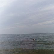 Camilloss - mężczyzna, 37 lat, Leszno