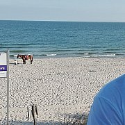 Imienianiema - man, 42 years, Jastrzębie-Zdrój