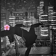 CiasnaIniedopieszczona - kobieta, 25 lat, Rybnik