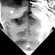 Bobo29 - чоловік, 37 років, Tomaszów Mazowiecki