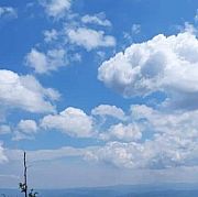 Ellesse1920 - mężczyzna, 40 lat, Katowice