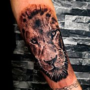 Toku87 - mężczyzna, 38 lat, Tilburg