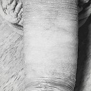 Niezlychlopak - чоловік, 42 років, Szczecin