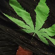 Jarekwnl - mann, 36 Jahre, Amsterdam