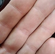 Brunet123456789 - мужчина, 46 лет, Łódź