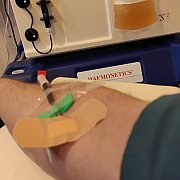 9876543210 - mężczyzna, 31 lat, Lubawa