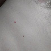 Kamilek352z - mężczyzna, 36 lat, Mielec