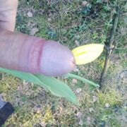 Facet696969
