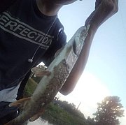 FajnyMlody18cm - мужчина, 25 лет, Częstochowa