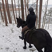 Krolik88 - mężczyzna, 37 lat, Nowy Targ
