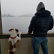 Kitek2 - man, 35 years, Warszawa