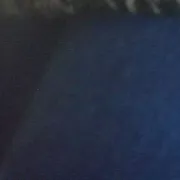 Tylkorealne