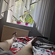 Jigen - mężczyzna, 26 lat, Olsztyn