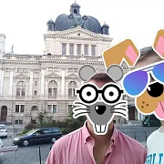 Wroc2931